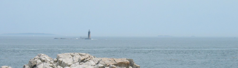 cropped-img_2986.jpg